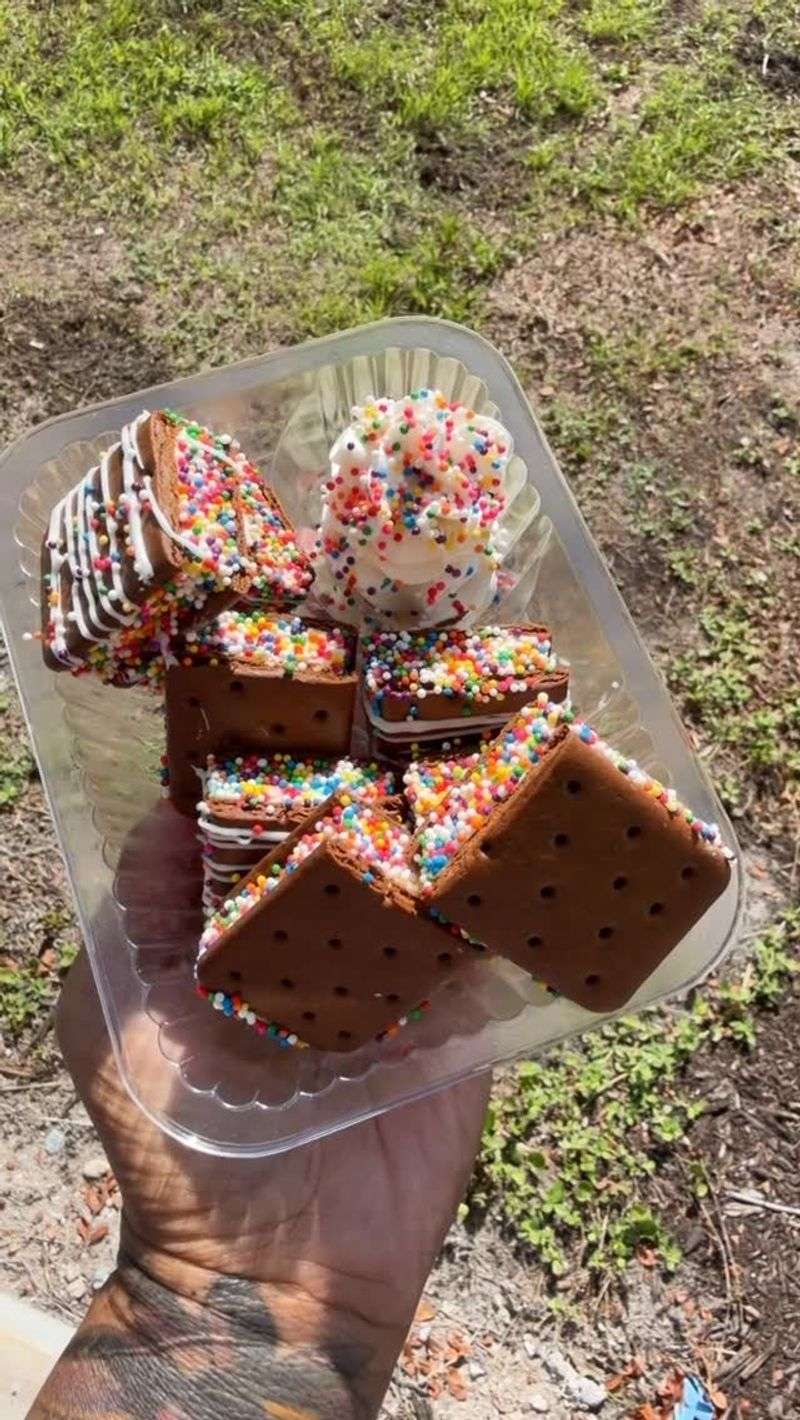 Ice Cream Sandwich Melting in the Sun