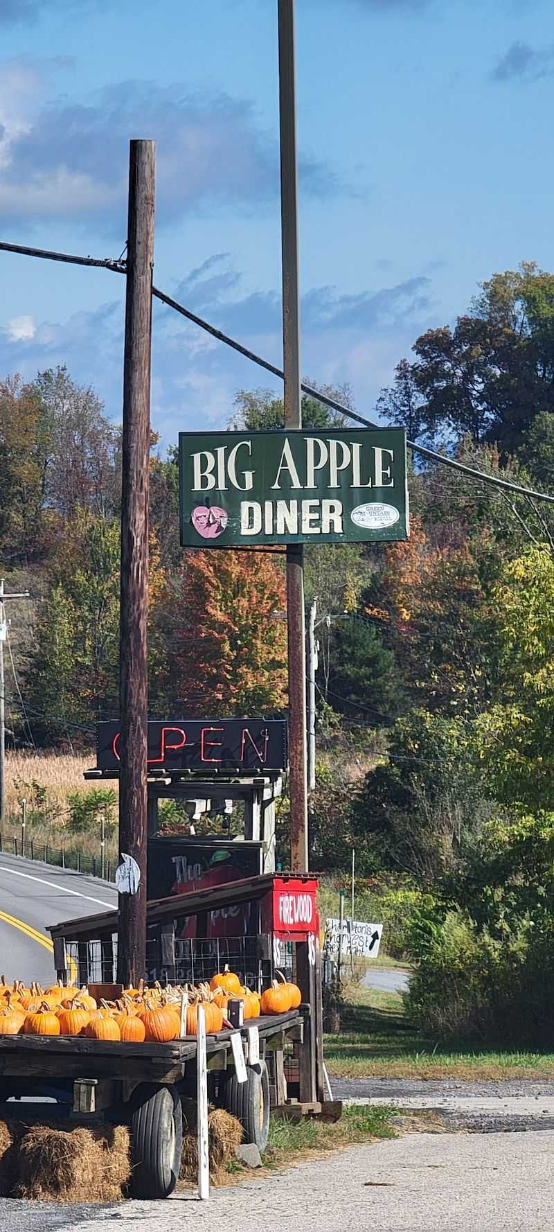 Big Apple Diner