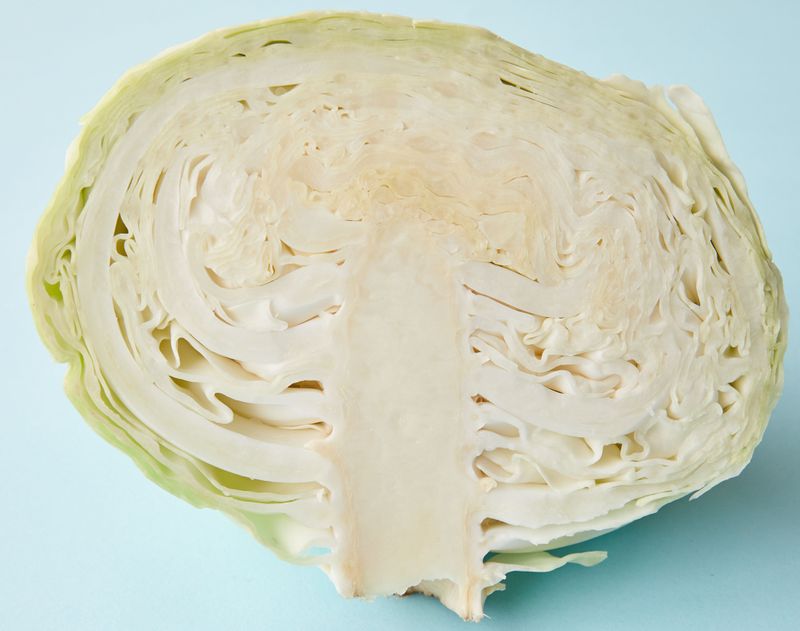 White Cabbage