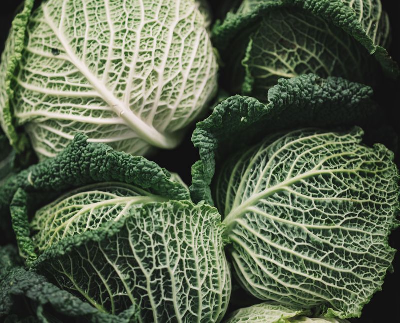 Savoy Cabbage