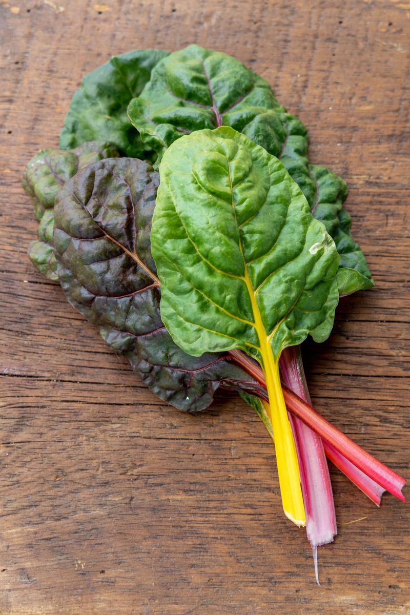 Swiss Chard