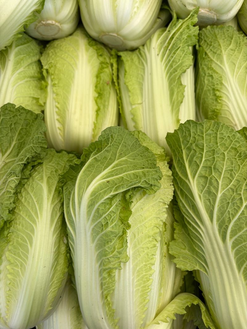 Chinese Leaf